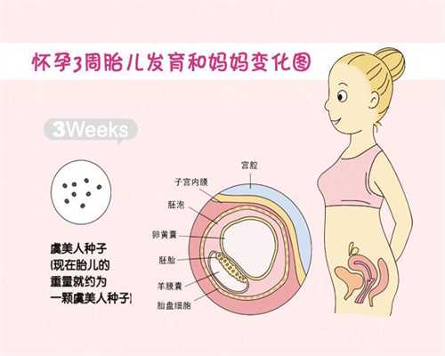 上海代孕专业机构_上海代孕推荐a生殖中心好